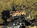 Натиснете снимката за да я уголемите

Име:Picture 104.jpg
Прегледи:113
Размер:218.9 КБ
ID:5226038