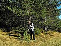 Натиснете снимката за да я уголемите

Име:Picture 106.jpg
Прегледи:88
Размер:170.3 КБ
ID:5226158