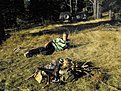 Натиснете снимката за да я уголемите

Име:Picture 105.jpg
Прегледи:89
Размер:186.6 КБ
ID:5226159