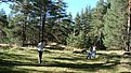 Натиснете снимката за да я уголемите

Име:DSC01834.jpg
Прегледи:107
Размер:212.0 КБ
ID:5228557