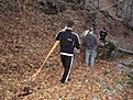 Натиснете снимката за да я уголемите

Име:DSC01905.jpg
Прегледи:102
Размер:276.1 КБ
ID:5228570