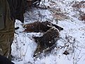 Натиснете снимката за да я уголемите

Име:11.12.2010 Ттоян+рожден &amp;#1076.jpg
Прегледи:121
Размер:192.0 КБ
ID:5234043