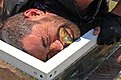 Натиснете снимката за да я уголемите

Име:005308883.jpg
Прегледи:164
Размер:44.1 КБ
ID:5234087