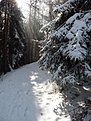 Натиснете снимката за да я уголемите

Име:P1000028.jpg
Прегледи:174
Размер:112.9 КБ
ID:5237254