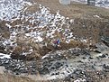 Натиснете снимката за да я уголемите

Име:S8304730.jpg
Прегледи:397
Размер:289.0 КБ
ID:5237849
