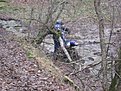Натиснете снимката за да я уголемите

Име:ендуро Крушево 024.jpg
Прегледи:111
Размер:209.8 КБ
ID:5238384