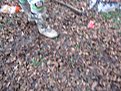 Натиснете снимката за да я уголемите

Име:ендуро Крушево 044.jpg
Прегледи:117
Размер:139.5 КБ
ID:5238387