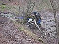 Натиснете снимката за да я уголемите

Име:ендуро Крушево 023.jpg
Прегледи:107
Размер:209.1 КБ
ID:5238388