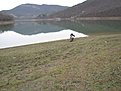 Натиснете снимката за да я уголемите

Име:ендуро Крушево 020.jpg
Прегледи:110
Размер:151.6 КБ
ID:5238391