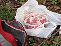 Натиснете снимката за да я уголемите

Име:ендуро Крушево 039.jpg
Прегледи:112
Размер:147.8 КБ
ID:5238393