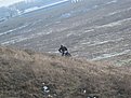 Натиснете снимката за да я уголемите

Име:IMG_0876.jpg
Прегледи:98
Размер:162.3 КБ
ID:5240788