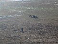 Натиснете снимката за да я уголемите

Име:IMG_0874.jpg
Прегледи:89
Размер:184.7 КБ
ID:5240800