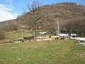 Натиснете снимката за да я уголемите

Име:IMG_0896.jpg
Прегледи:85
Размер:218.6 КБ
ID:5240835
