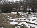 Натиснете снимката за да я уголемите

Име:IMG_0936.jpg
Прегледи:88
Размер:223.0 КБ
ID:5240842