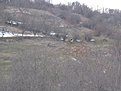 Натиснете снимката за да я уголемите

Име:IMG_0937.jpg
Прегледи:84
Размер:117.1 КБ
ID:5240848