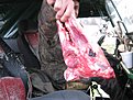 Натиснете снимката за да я уголемите

Име:IMG_0949.jpg
Прегледи:91
Размер:120.0 КБ
ID:5240849