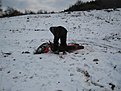 Натиснете снимката за да я уголемите

Име:IMG_0945.jpg
Прегледи:93
Размер:123.2 КБ
ID:5240856