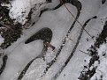 Натиснете снимката за да я уголемите

Име:Първа кал 2011_2 018.jpg
Прегледи:165
Размер:134.5 КБ
ID:5241240