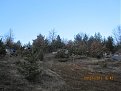 Натиснете снимката за да я уголемите

Име:09.01.2011 023.jpg
Прегледи:275
Размер:128.9 КБ
ID:5242255