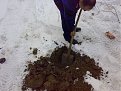 Натиснете снимката за да я уголемите

Име:090120112455.jpg
Прегледи:202
Размер:143.4 КБ
ID:5242276