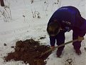 Натиснете снимката за да я уголемите

Име:090120112454.jpg
Прегледи:190
Размер:116.2 КБ
ID:5242278
