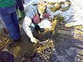 Натиснете снимката за да я уголемите

Име:090120112483.jpg
Прегледи:195
Размер:223.4 КБ
ID:5242309