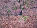 Натиснете снимката за да я уголемите

Име:IMG_1041.jpg
Прегледи:359
Размер:243.8 КБ
ID:5243109
