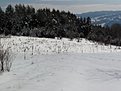 Натиснете снимката за да я уголемите

Име:DSC00020.jpg
Прегледи:259
Размер:106.3 КБ
ID:5247496