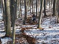Натиснете снимката за да я уголемите

Име:IMG_1110.jpg
Прегледи:107
Размер:273.9 КБ
ID:5250887