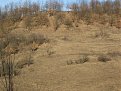 Натиснете снимката за да я уголемите

Име:IMG_1136.jpg
Прегледи:105
Размер:158.3 КБ
ID:5250901