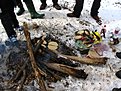 Натиснете снимката за да я уголемите

Име:IMG_5566.jpg
Прегледи:293
Размер:205.7 КБ
ID:5254105