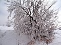 Натиснете снимката за да я уголемите

Име:IMG_5622.jpg
Прегледи:204
Размер:231.7 КБ
ID:5255182