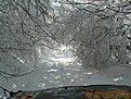 Натиснете снимката за да я уголемите

Име:IMG_5628.jpg
Прегледи:205
Размер:211.8 КБ
ID:5255188