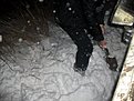 Натиснете снимката за да я уголемите

Име:ALIM0170.jpg
Прегледи:120
Размер:123.1 КБ
ID:5257086