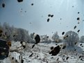 Натиснете снимката за да я уголемите

Име:P1060652.jpg
Прегледи:222
Размер:110.2 КБ
ID:5258087