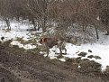 Натиснете снимката за да я уголемите

Име:13.jpg
Прегледи:688
Размер:60.2 КБ
ID:5258508