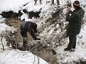 Натиснете снимката за да я уголемите

Име:39.jpg
Прегледи:575
Размер:60.7 КБ
ID:5258523