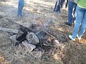 Натиснете снимката за да я уголемите

Име:P1060757.jpg
Прегледи:250
Размер:287.4 КБ
ID:5259407