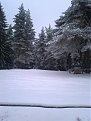 Натиснете снимката за да я уголемите

Име:Снимка0133.jpg
Прегледи:296
Размер:85.5 КБ
ID:5262379