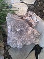 Натиснете снимката за да я уголемите

Име:Снимка0117.jpg
Прегледи:334
Размер:113.1 КБ
ID:5262623