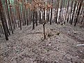 Натиснете снимката за да я уголемите

Име:DSC01353.jpg
Прегледи:182
Размер:292.5 КБ
ID:5263378