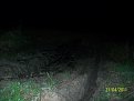 Натиснете снимката за да я уголемите

Име:Тест на Ласа ОК-144 011.jpg
Прегледи:232
Размер:104.6 КБ
ID:5270689