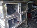 Натиснете снимката за да я уголемите

Име:01052011422.jpg
Прегледи:267
Размер:155.1 КБ
ID:5274320