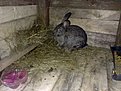 Натиснете снимката за да я уголемите

Име:01052011419.jpg
Прегледи:266
Размер:174.4 КБ
ID:5274321