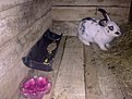 Натиснете снимката за да я уголемите

Име:01052011417.jpg
Прегледи:271
Размер:135.4 КБ
ID:5274322
