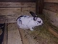 Натиснете снимката за да я уголемите

Име:01052011416.jpg
Прегледи:259
Размер:125.2 КБ
ID:5274323