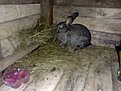 Натиснете снимката за да я уголемите

Име:01052011418.jpg
Прегледи:243
Размер:111.4 КБ
ID:5274325