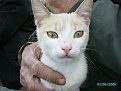 Натиснете снимката за да я уголемите

Име:PICT0355.jpg
Прегледи:383
Размер:130.2 КБ
ID:5275247