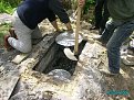 Натиснете снимката за да я уголемите

Име:PICT0363.jpg
Прегледи:388
Размер:234.4 КБ
ID:5275256