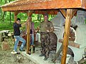 Натиснете снимката за да я уголемите

Име:P1010738.jpg
Прегледи:152
Размер:190.1 КБ
ID:5281881